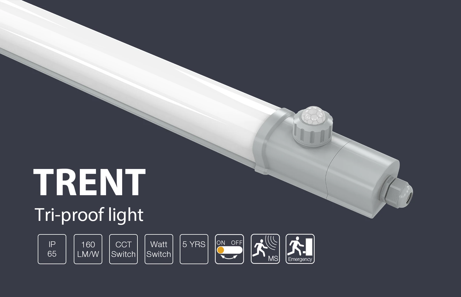 Trent-triproof-light01